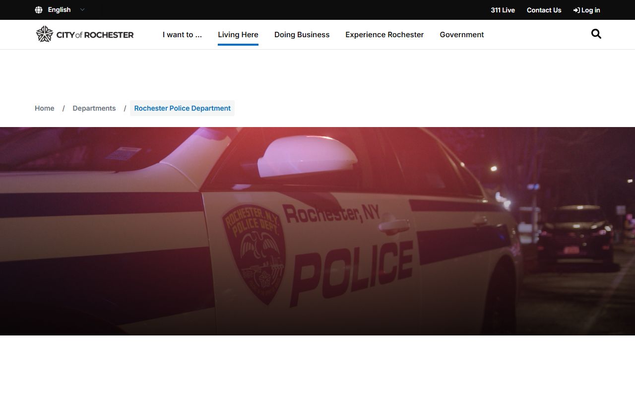 Rochester police department 24 hour booking records